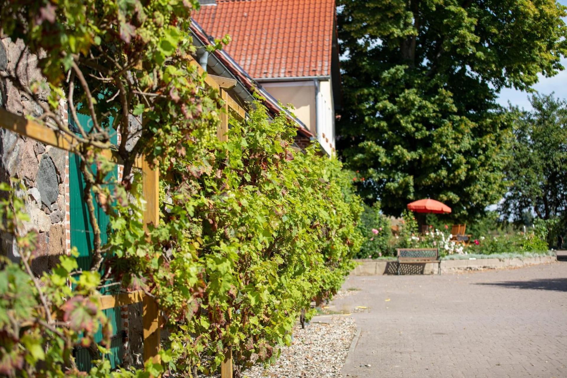 Landurlaub Auf Dem Mellenhof Apartamento Funkenhagen Exterior foto