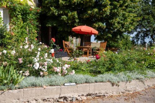 Landurlaub Auf Dem Mellenhof Apartamento Funkenhagen Exterior foto